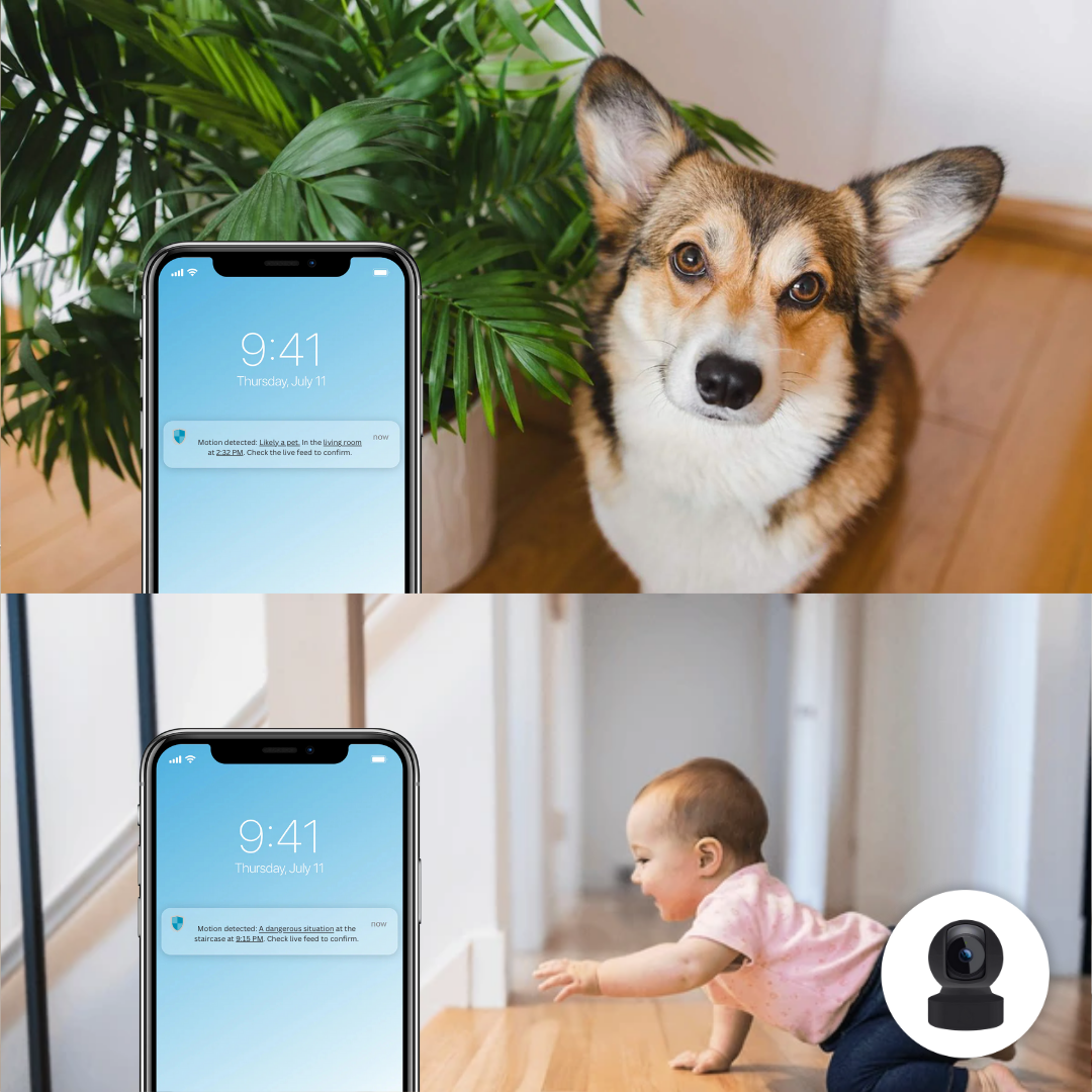 Paket - RoomWatch™ + SnapStick™